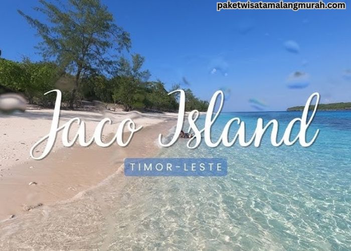 Liburan ke Jaco Island Surga Tropis di Samudera Pasifik